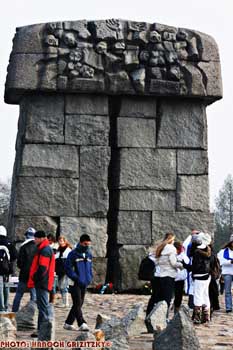 IMG_ (10212)